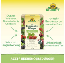 Neudorff Azet Beerenobst Dünger mit Mykorrhiza und Mikroorganismen, 2,5 Kilogramm organische Düngemittel Packung für Beeren und Obstbäume.