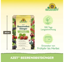 Neudorff Azet Beerenobst Dünger, 2,5 kg Packung mit 100 Tagen Langzeitwirkung, geeignet für den ökologischen Landbau.