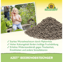 Neudorff Azet Beerenobstdünger Granulat für kräftiges Wurzelwachstum und reiche Fruchternte im Garten.