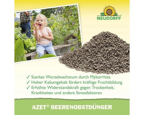 Neudorff Azet Beerenobstdünger Granulat für kräftiges Wurzelwachstum und reiche Fruchternte im Garten.