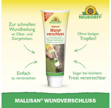 Neudorff Malusan Wundverschluss Tube zur Wundheilung von Obst- und Ziergehölzen mit integriertem Pinsel