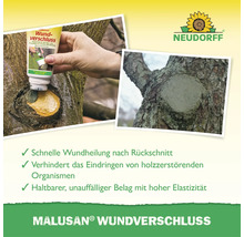 Neudorff Malusan Wundverschluss Tube zur schnellen Wundheilung von Obst und Ziergehölzen nach dem Baumschnitt inklusive Anwendung und Ergebnis.