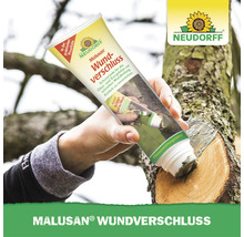 Neudorff Malusan Wundverschluss Tube zur Wundbehandlung von Obst und Ziergehölzen durch Auftragen mit Pinselaufsatz.