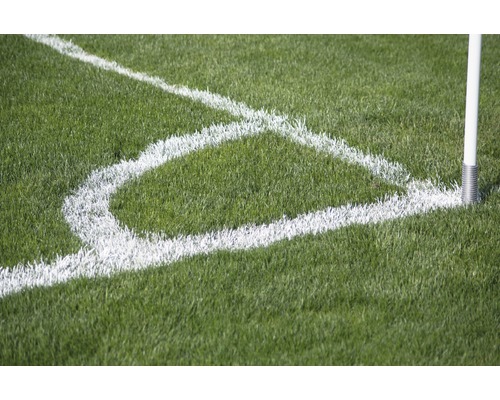 Fußballfeld Ecke mit Eckfahne und Markierungslinien