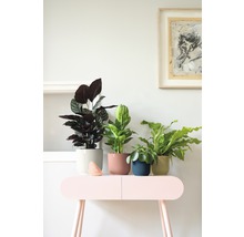 Übertopf Elho Vibes fold Kunststoff Ø 16,1 cm H 14,8 cm zartrosa