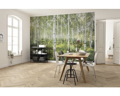 Heller Wohnraum mit Birkenwald Fototapete, Esstisch und Holzfußboden