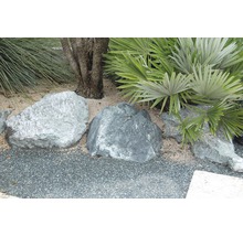 Dekorative Steine und Pflanzen im Garten.