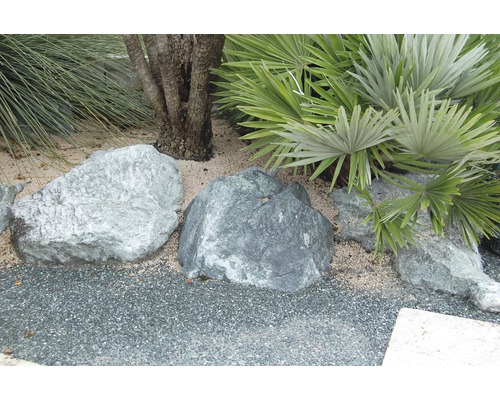 Dekorative Felsen und Pflanzen im Garten