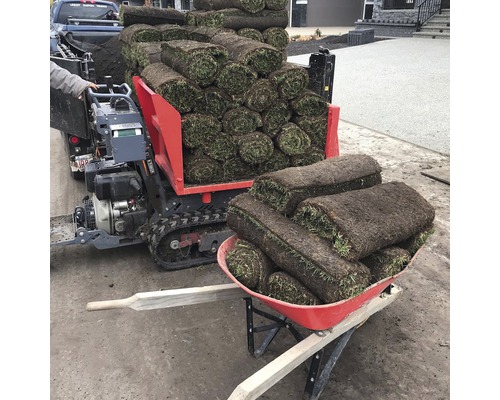 Rasenrollen auf einem Transportfahrzeug und einer Schubkarre