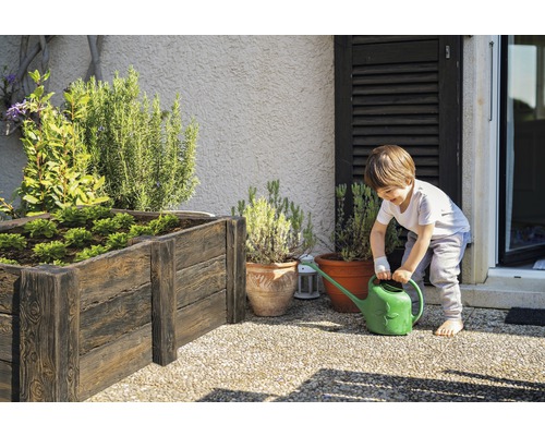 Junge gießt Pflanzen in einem Hochbeet mit einer Gießkanne