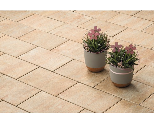 Verlegte Pflastersteine mit zwei Blumentöpfen