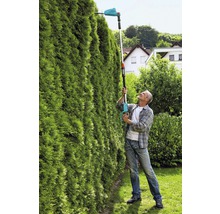 Mann schneidet hohe Hecke mit einer Akku-Heckenschere mit Teleskopstiel