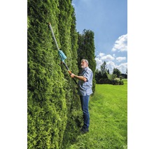 Mann schneidet Hecke mit einer Heckenschere