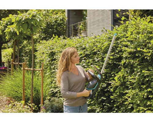 Frau schneidet Hecke mit Heckenschere im Garten