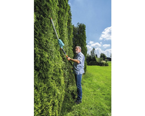 Eine Person schneidet eine Hecke mit einer Akku-Heckenschere mit Teleskopstiel im Garten.