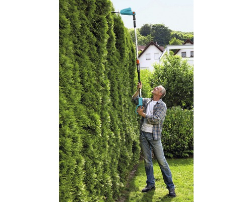 Mann schneidet hohe Hecke mit einer Akku-Heckenschere