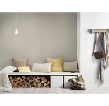 Wohnraum mit Sitzbank, Kissen, Holzscheiten, Aufbewahrungsboxen, Garderobe und Accessoires.