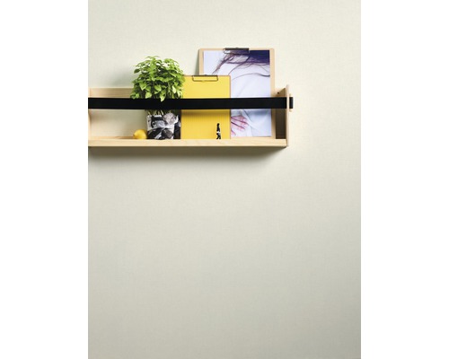 Wandregal mit Pflanze, Zitrone und Büroaccessoires