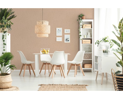 Heller Essbereich mit Esstisch, Stühlen, Hängelampe, Regal und Zimmerpflanzen für eine freundliche Atmosphäre.