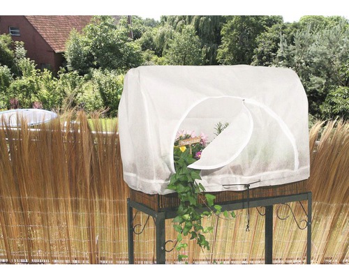 Pflanzenschutzhaube auf einem Tisch mit Pflanzen