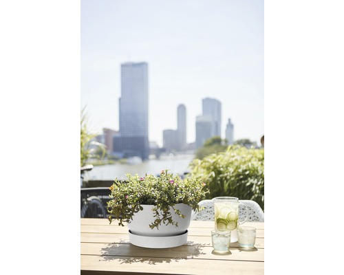 Blumentopf mit Untersetzer und bepflanzt auf einem Tisch