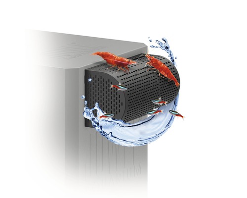 Aquarium Innenfilter mit Garnelen und Fischen.