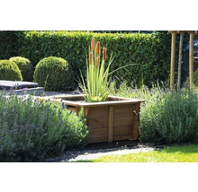 Quadratischer Pflanzkasten aus Holz mit Wasserpflanzen im Garten