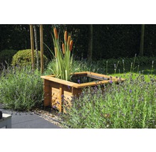 Quadratischer Holzgartenteich mit Rohrkolben und Lavendel im Garten