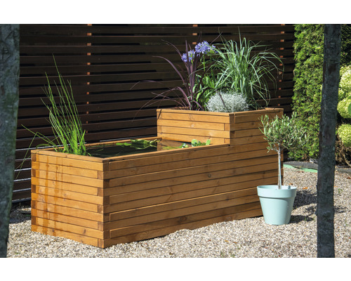 Holzteich mit Pflanzen und kleinem Baum im Topf