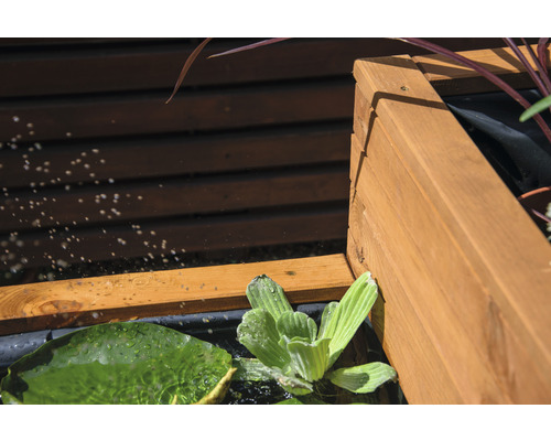 Detailansicht eines erhöhten Gartenteichs mit Holzrahmen und Wasserpflanzen