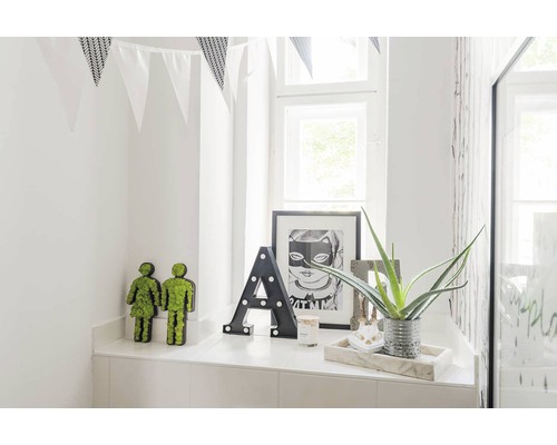 Dekoratives Badezimmerregal mit Pflanzfiguren, beleuchtetem Buchstaben A, gerahmtem Kunstdruck und Aloe Vera Pflanze