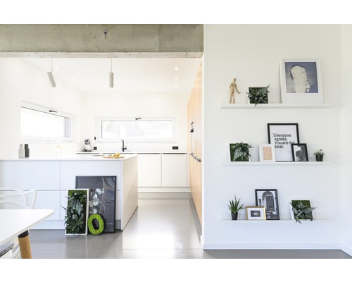 Heller Raum mit Küche und Regalen an der Wand, dekoriert mit Pflanzen und Bildern.