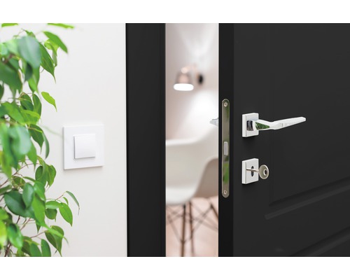 Geöffnete dunkle Tür mit silberfarbener Türklinke und Schlüssel, daneben ein grüner Zweig und ein Lichtschalter