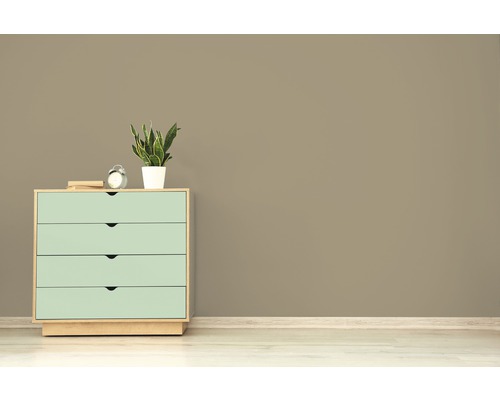 Kommode mit vier Schubladen, Zimmerpflanze und Wecker