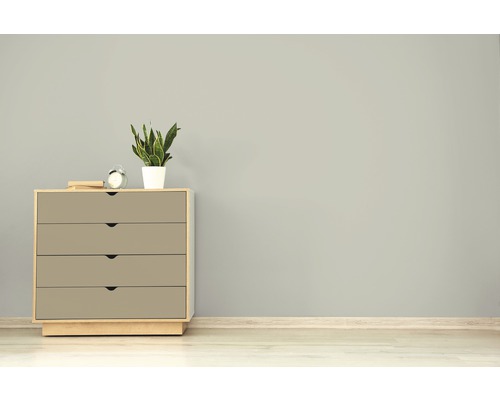 Kommode mit vier Schubladen, Uhr und Zimmerpflanze auf Holzboden