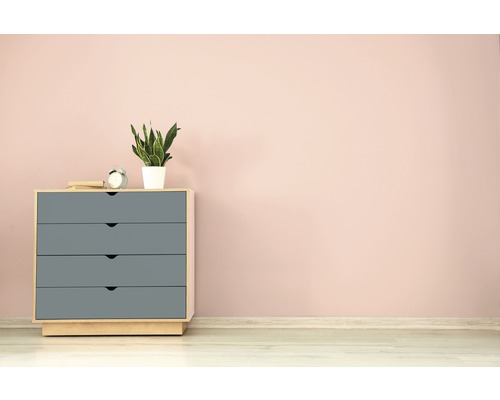 Kommode mit vier Schubladen, Dekoration und Zimmerpflanze