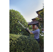 Mann schneidet Hecke mit einer Heckenschere im Garten.