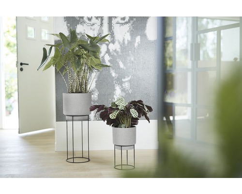 Innenaufnahme mit zwei Pflanzen in grauen Blumentöpfen auf schwarzen Pflanzenständern vor einer Mosaikwand.