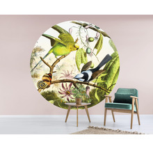 Fototapete Vlies HRBC000059 Vogel Illustration 2 Ø 95 cm