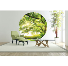 Wohnzimmer mit grünem Sessel, Fußhocker, Couchtisch und Wandtattoo mit Baummotiv