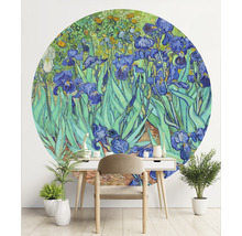 "Wandbild mit dem Motiv von Vincent van Goghs ""Schwertlilien"", angebracht über einem Schreibtisch mit Stuhl und Topfpflanzen."
