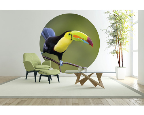 Wohnzimmer mit Sessel, Couchtisch, Zimmerpflanze und Wandtattoo mit Tukan