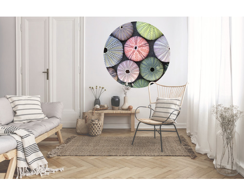 Wohnzimmer mit Sofa, Stuhl, Teppich und Wandtattoo mit Seeigelmotiv