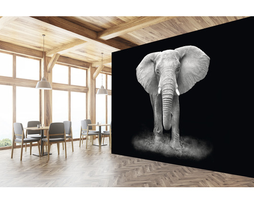 Szene mit einem Interieur und einer Fototapete mit einem Elefanten
