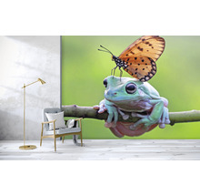 Fototapete Vlies HRBP000012 Frosch + Schmetterling 5-tlg. 243 x 184 cm
