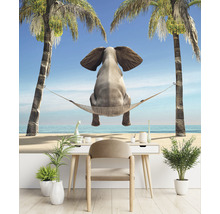 Fototapete Vlies HRBP000019 Elefant in Hängematte 5-tlg. 243 x 184 cm