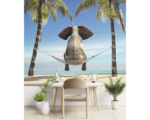 Fototapete mit Elefant in Hängematte zwischen Palmen