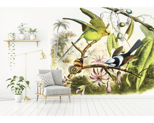 Wohnraum mit Fototapete mit Papageien- und Vogelmotiven