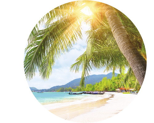 Ein Strand mit Palmen unter strahlender Sonne.