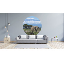 Fototapete Vlies HRBC200082 Kilimanjaro Elefant Ø 190 cm